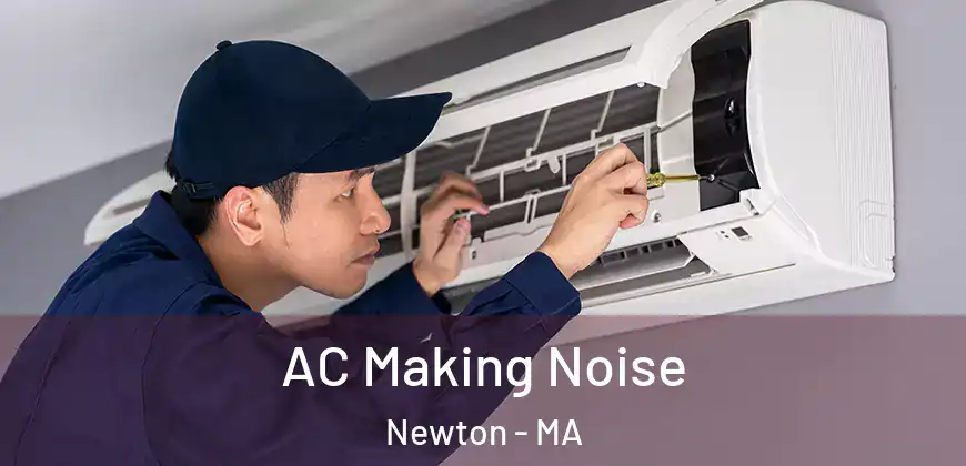 AC Making Noise Newton - MA